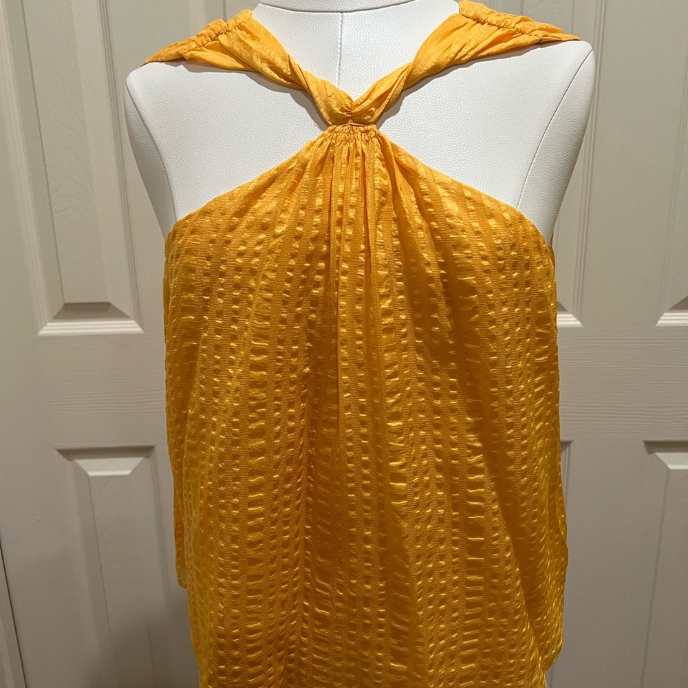 Frame Halter top neckline mustard color blouse.